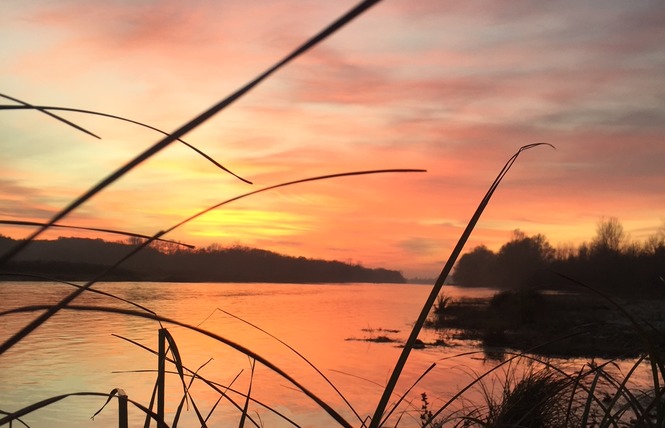 Moments de Loire 3 - Veuzain-sur-Loire