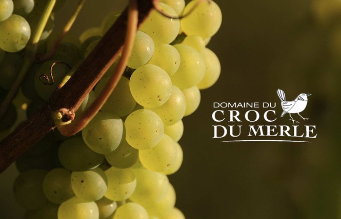 Domaine du Croc du Merle 10 - Muides-sur-Loire