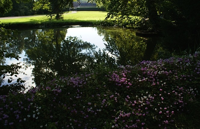 Le Béguinage 5 - Cour-Cheverny