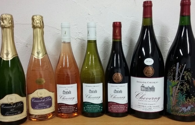 Domaine Chesneau et fils 8 - Sambin