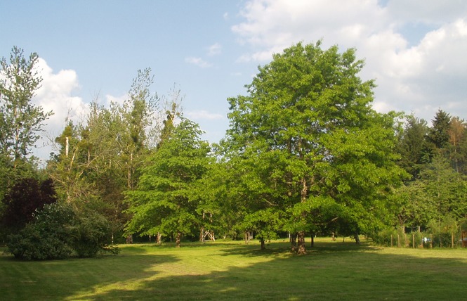 Village de gîtes Le Moulin de Crouy 4 - Crouy-sur-Cosson