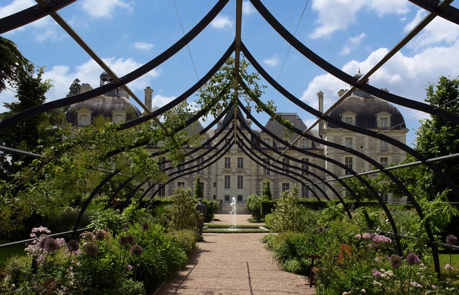 Château de Cheverny 5 - Cheverny