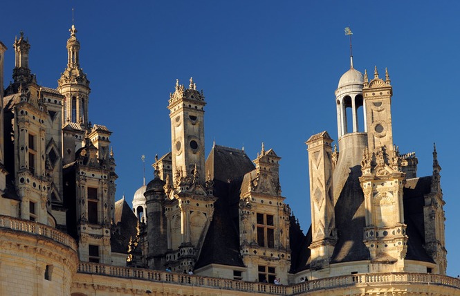 Domaine national de Chambord 9 - Chambord