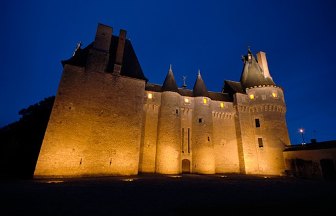 Château de Fougères-sur-Bièvre 7 - Fougères-sur-Bièvre