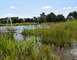 Baignade Naturelle du Grand Chambord 4 - Mont-près-Chambord